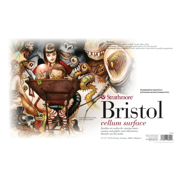 Strathmore 200 Series Bristol Drawing Pad 24 Sheets 100 lb 11 x 17 Inches